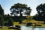 Picturesque Garden, Greenwich, CT