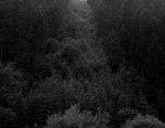 John in love #1, 2011, Baryt prints, various sizes, site specific