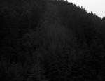 John in love #2, 2011, Baryt prints, various sizes, site specific