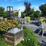 Urban Farming 