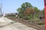 Community Garden