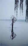 Barbara Edelstein - hangzhou