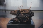 Barbara Edelstein - ink-rock-water