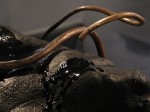 Barbara Edelstein - ink-rock-water