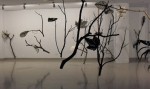 Barbara Edelstein - wind dream